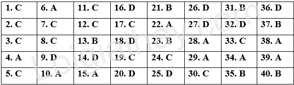 Đề thi giữa kì 2 Tiếng Anh 12 Global Success - Đề số 5 1 1