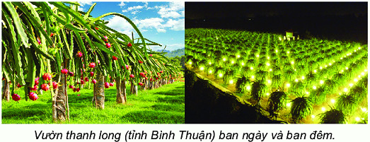 Ba điểm thẳng hàng 4 1