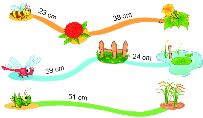 Bài 21. Luyện tập chung 6 1