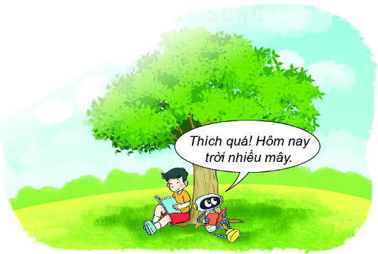 Bài 67: Thực hành và trải nghiệm thu thập, phân loại, kiểm đếm số liệu 11