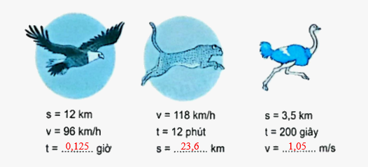 Bài 75: Ôn tập chung (tiết 3) trang 132 vở bài tập Toán 5 - Kết nối tri thức 4