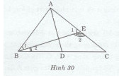 Bài 8 trang 103 Tài liệu dạy – học toán 6 tập 2 2
