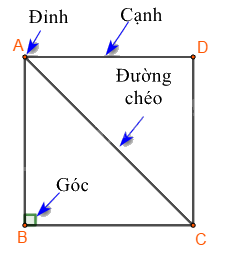 Dạng 1. Đặc điểm của một số hình phẳng quan trọng Chủ đề 8 Ôn hè Toán 6 0 5