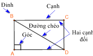 Dạng 1. Đặc điểm của một số hình phẳng quan trọng Chủ đề 8 Ôn hè Toán 6 11