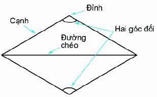 Dạng 1. Đặc điểm của một số hình phẳng quan trọng Chủ đề 8 Ôn hè Toán 6 13