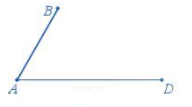 Dạng 1. Đặc điểm của một số hình phẳng quan trọng Chủ đề 8 Ôn hè Toán 6 15