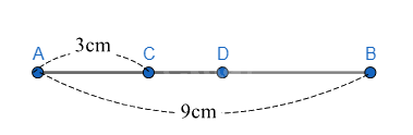 Đề cương ôn tập học kì 2 Toán 6 - Cánh diều 12