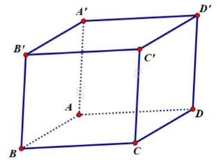 Đề khảo sát chất lượng Toán 12 lần 1 năm 2024 - 2025 sở GD&ĐT Ninh Bình 1 1