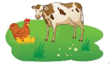 Đề kiểm tra học kì 1 Toán 3 Chân trời sáng tạo - Đề số 6 2