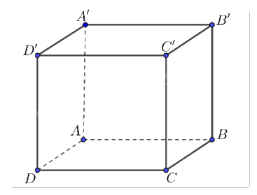 Đề thi học kì 1 Toán 12 Cánh diều - Đề số 1 1 6