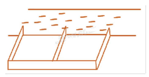 Đề thi học kì 1 Toán 12 Cánh diều - Đề số 1 1 9