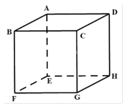 Đề thi học kì 1 Toán 12 Chân trời sáng tạo - Đề số 2 1 5