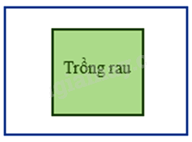 Đề thi học kì 1 Toán 6 - Đề số 14 1 4