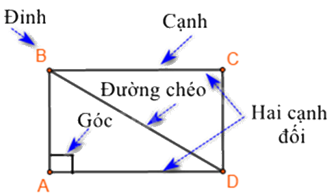 Đề thi học kì 1 Toán 6 - Đề số 16 1 1