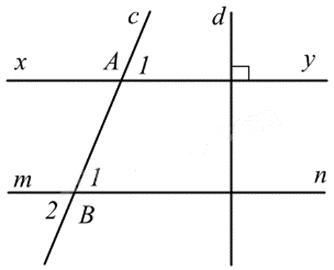 Đề thi học kì 1 Toán 7 Chân trời sáng tạo - Đề số 17 1 8