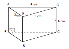Đề thi học kì 1 Toán 7 - Đề số 4 - Chân trời sáng tạo 1 1