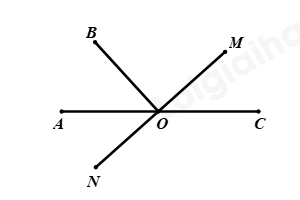 Đề thi học kì 1 Toán 7 - Đề số 8 - Cánh diều 1 1