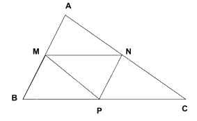 Đề thi học kì 1 Toán 8 - Đề số 1 - Kết nối tri thức 1 3