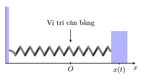 Đề thi học kì 2 Toán 12 Chân trời sáng tạo - Đề số 4 1 1