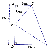 Đề thi học kì 2 Toán 8 - Đề số 5 - Cánh diều 1 3