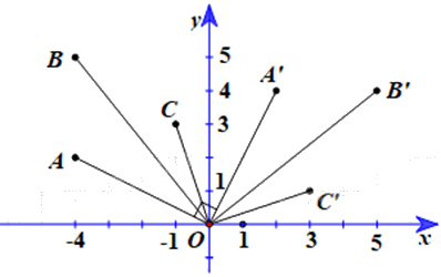 Giải bài 1 trang 28 Chuyên đề học tập Toán 11 Chân trời sáng tạo 2