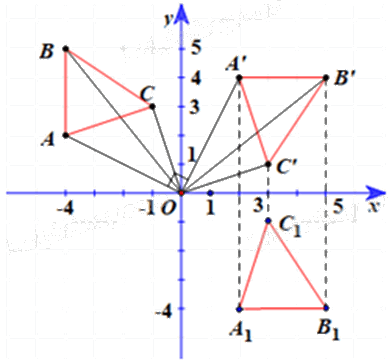 Giải bài 1 trang 28 Chuyên đề học tập Toán 11 Chân trời sáng tạo 3