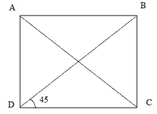 Giải bài 1 trang 91 SGK Toán 6 Chân trời sáng tạo Tập 2 2