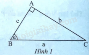 Giải bài 10 trang 74 sách bài tập toán 9 - Chân trời sáng tạo tập 1 2