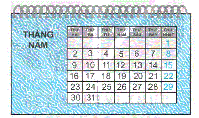 Giải bài 31: Thực hành và trải nghiệm xem đồng hồ, xem lịch (tiết 2) trang 116 Vở bài tập toán 2 - Kết nối tri thức với cuộc sống 1 1