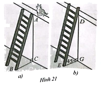 Giải bài 42 trang 60 SBT toán 10 - Cánh diều 1