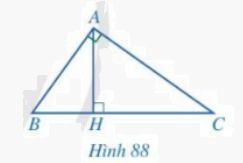 Giải bài 5 trang 85 SGK Toán 8 – Cánh diều 3