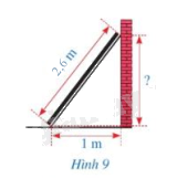 Giải bài 5 trang 97 SGK Toán 8 tập 1 - Cánh diều 1