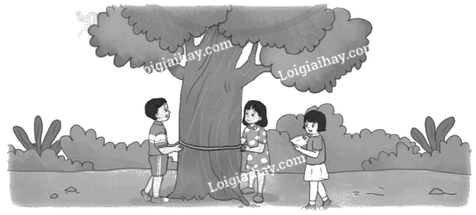 Giải bài 55: Chu vi hình tròn trang 19, 20 vở bài tập Toán 5 - Cánh diều 6