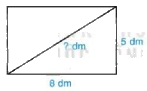 Giải bài 6 (2.11) trang 28 vở thực hành Toán 7 1