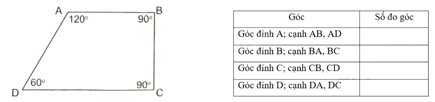Giải bài 7: Đo góc, đơn vị đo góc (tiết 2) trang 25 vở bài tập Toán 4 - Kết nối tri thức với cuộc sống 1