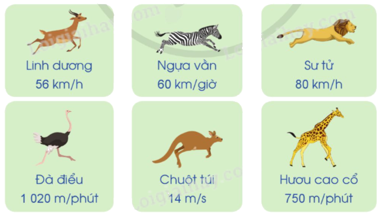 Giải bài 72: Vận tốc trang 67, 68 vở bài tập Toán 5 - Cánh diều 3 1