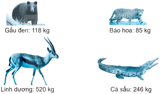 Giải bài 8: Luyện tập chung (tiết 1) trang 21 vở bài tập Toán 3 - Kết nối tri thức với cuộc sống 1