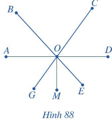 Giải bài 8 trang 101 SGK Toán 6 Cánh diều 1