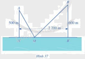 Giải bài tập 13 trang 48 SGK Toán 12 tập 1 - Cánh diều 1