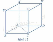 Giải bài tập 3 trang 63 SGK Toán 12 tập 1 - Cánh diều 2