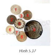 Giải bài tập 5.24 trang 107 SGK Toán 9 tập 1 - Kết nối tri thức 3
