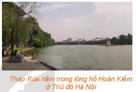 Giải câu hỏi mở đầu trang 38 SGK Toán 10 tập 1 - Kết nối tri thức 1