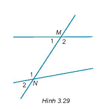 Giải Câu hỏi trắc nghiệm trang 47,48 sách bài tập Toán 7 Kết nối tri thức với cuộc sống 4