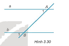 Giải Câu hỏi trắc nghiệm trang 47,48 sách bài tập Toán 7 Kết nối tri thức với cuộc sống 5