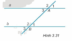 Giải Câu hỏi trắc nghiệm trang 47,48 sách bài tập Toán 7 Kết nối tri thức với cuộc sống 6