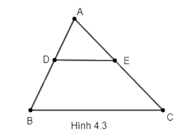 Giải câu hỏi trắc nghiệm trang 69 vở thực hành Toán 8 3