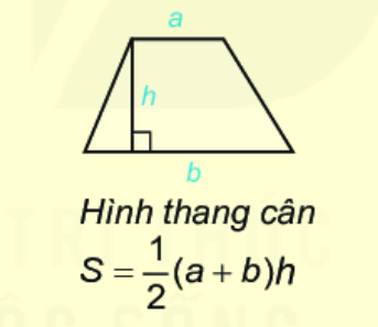 Giải câu hỏi trắc nghiệm trang 76 vở thực hành Toán 6 3 1