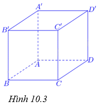 Giải câu hỏi trắc nghiệm trang 90, 91 vở thực hành Toán 7 tập 2 3 1