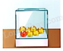 Giải mục 1 trang 121, 122 SGK Toán 9 tập 2 - Cùng khám phá 0 2