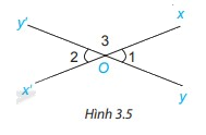Giải mục 1 trang 41, 42, 43 SGK Toán 7 tập 1 - Kết nối tri thức 5 1